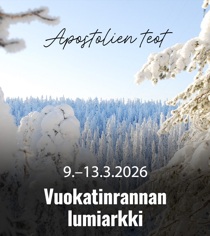 VR 2026 Lumiarkki 800x900