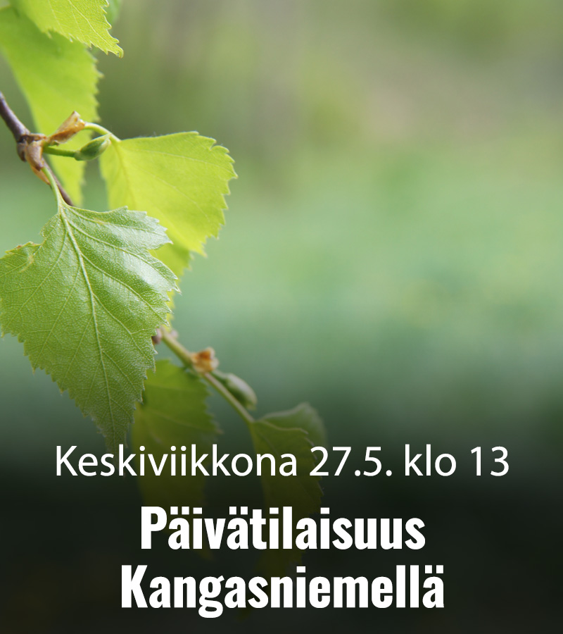 SRO 2026 Paivatilaisuus Kangasniemi 800x900