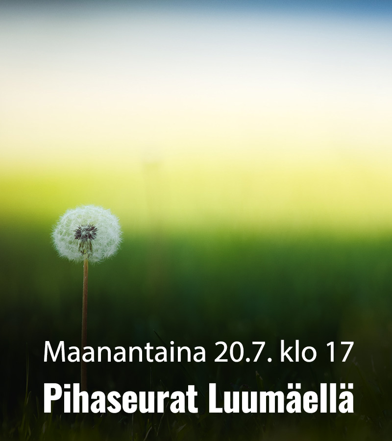 SRO 2026 Pihaseurat Luumaki 800x900